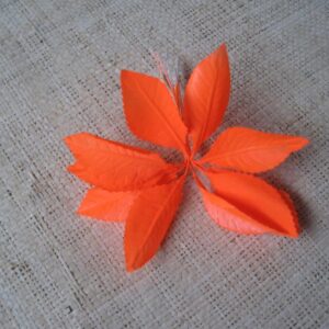 Producto prueba variable